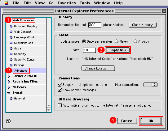 IE - Web browser - Advanced - Empty Now - OK