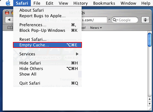 Safari - Empty Cache